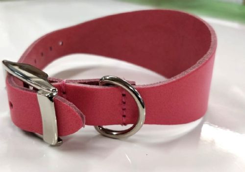 Dog Collar - Greyhound - Variety Of Colours & Sizes (Pink Cotton Candy, Small)